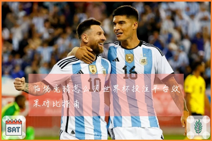 临场竞猜怎么买世界杯投注平台效果对比指南